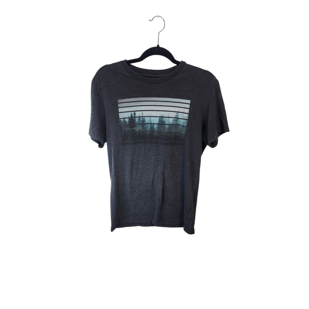 Aeropostale Mens Gray Heather Graphic T-Shirt Crew‎ Neck Tee